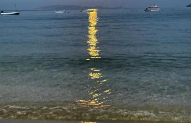 Thalia Bloom Villa Apartments - Foto 79