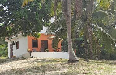 Abelha & Peixe Boi - Photo 26