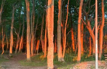 Apartamenty nad morzem Przy Klifie 2 Dębina - Foto 28