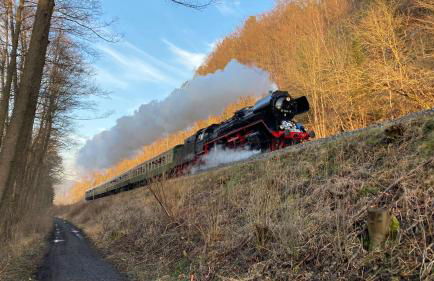 Villa Heimlicher Grund - Photo 24