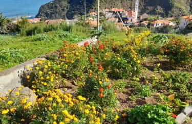 Panoramic Ocean View House - Foto 15