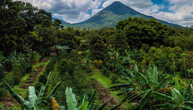 Circuit du café et du chocolat