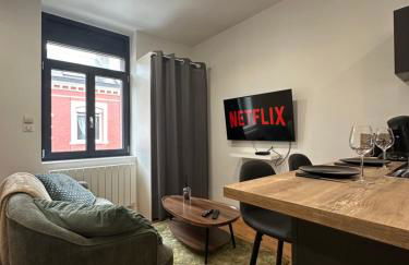 IMMEUBLE ST-PIERRE - GARE 10min - HORTILLONNAGES 5min - WIFI - TV HD - Foto 25