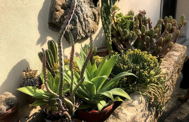 Il Pezzatino - Photo 69