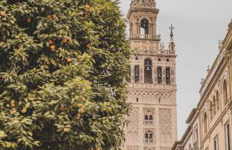 Apartamento Jardin de Santa Paula - Foto 23