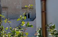 La casina - Foto 38