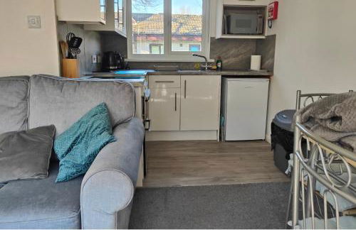 Tolroy manor holiday cottage - Foto 49