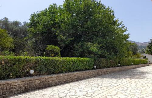 Lemontree Apartments - Foto 59