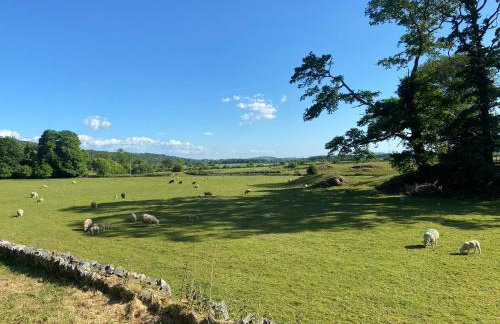 Barnhaven, beautiful converted coach house in National Park - Foto 49