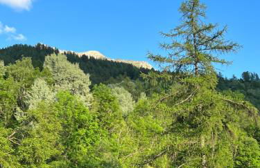 Chalet Altus - Photo 57