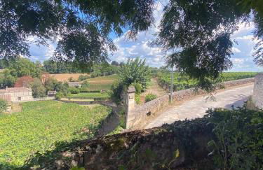 La Madeleine, nichée au cœur de Saint-Émilion - Foto 35