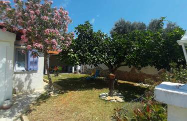 Vacation House Bimba - Pomer - Foto 21