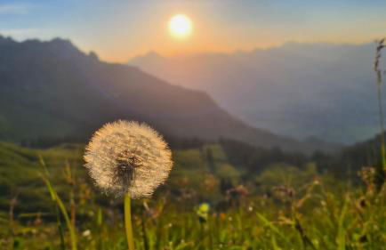 Villa Herzland Allgäu mit großem Garten und gemütlichem Kaminfeuer inklusive KÖNIGSCARD, Skipass, Bergbahn, Therme inkl - Foto 41