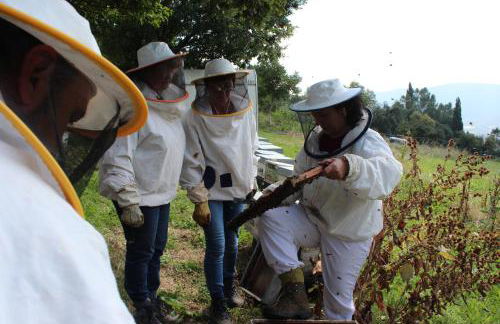 Albergue Casa Fumenal - Foto 57