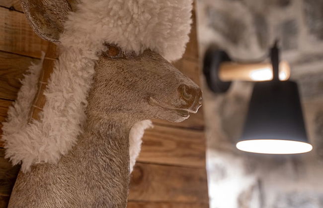 Dandy Villas Karpenisi-Lux Chalet - Photo 53