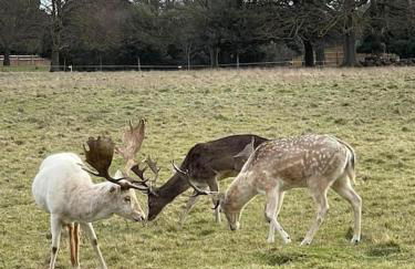Elegant home near Stratford upon avon - Photo 41