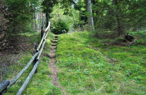 Leśne Zacisze domki letniskowe - Foto 40