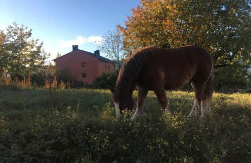 Cal Barné, acogedor alojamiento con jardín en Das - Foto 21