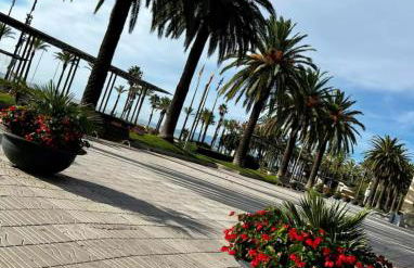 Apartman Leoni 1 linea - Foto 1