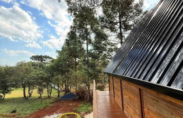 Casa na Árvore em Guarapuava - Foto 5