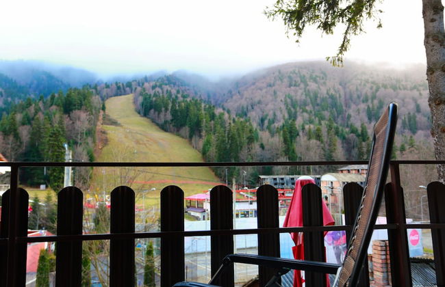 Pensiunea Elemar - Foto 31