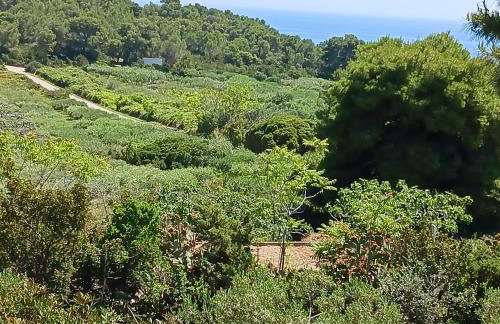 Apartments Elena & Damir - Foto 18