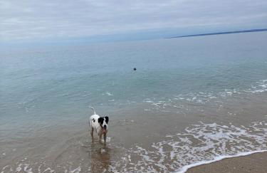 Church View, Helston Old Town - Foto 12