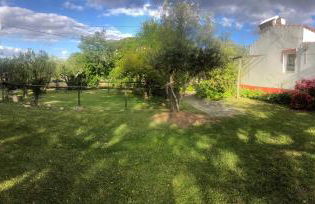 Monte do Rei Santo - Foto 41