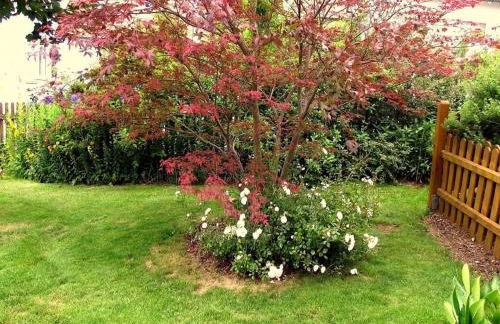 Ferienwohnung Bär - Foto 21