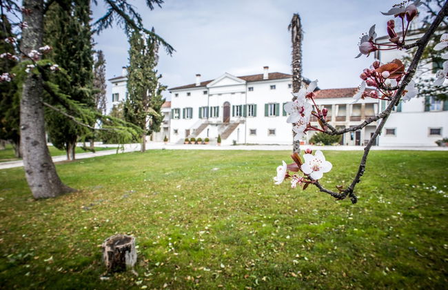 Villa Dragoni - Foto 1