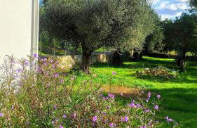 Rizaki Cottage in Nafpaktos - Foto 22