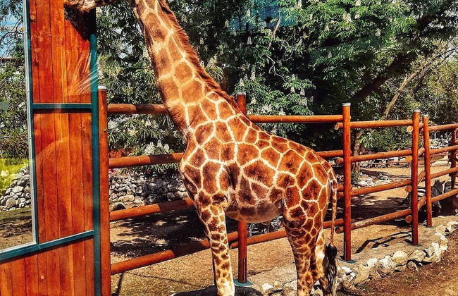 MoveIn Apartments - ApartHotel Belgrade - Foto 66