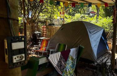 Casa da Árvore - Foto 2