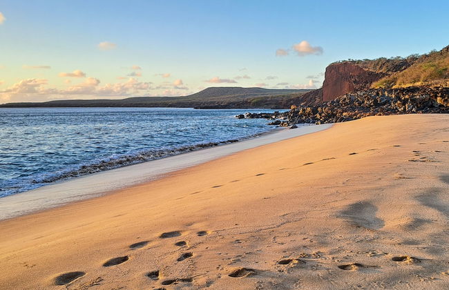 Paniolo Hale - Foto 24