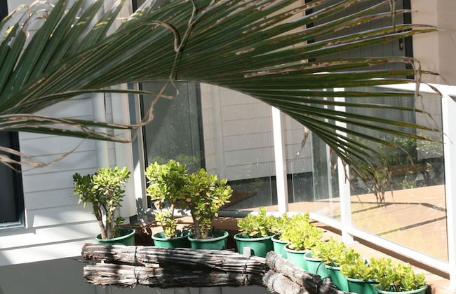 Atlas Suites And Apartments - Foto 24