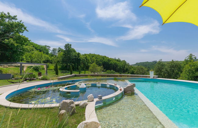 Studio Gallery Bura - Foto 5