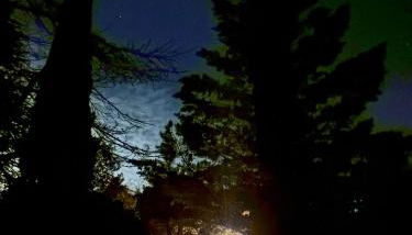 Masiadenjust - Photo 5