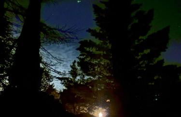 Masiadenjust - Foto 5