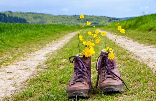 Landhaus Valentin - Foto 51