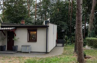 Domek na Morenowym Wzgórzu, nad jeziorem - Foto 28