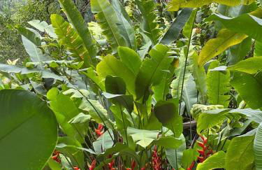 Studio 7 com Vista para o Mar - Praia Barra do Sahy - Foto 28