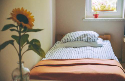 Agroturystyka Pod Modrzewiami - Foto 22