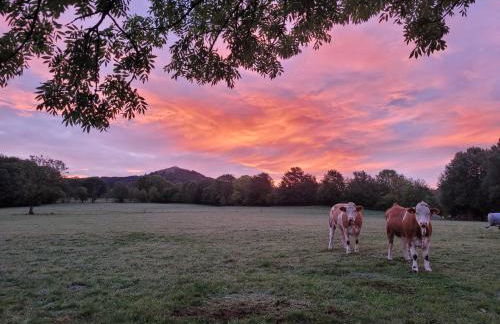 Landschule Rhön - Foto 38