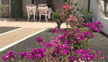 Casa Maiakai - Foto 5, Garden