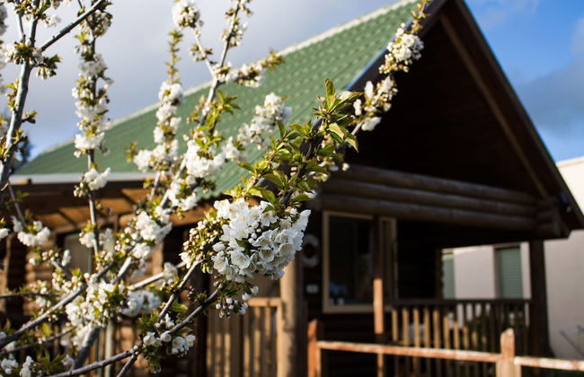 Dalia Barama - Photo 18