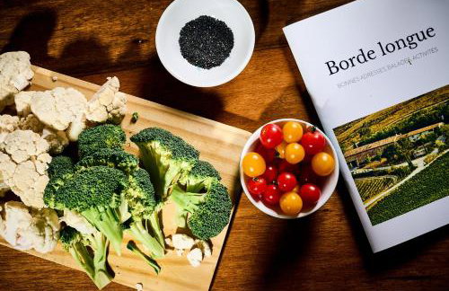 Domaine - Vignoble - Jacuzzi - Sauna - 14 à 18 pers - Foto 78