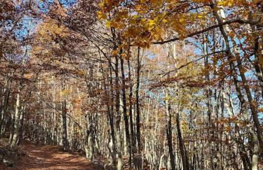La Casa di Campo Staffi - Foto 5