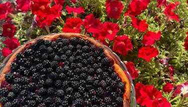 Agriturismo Percenna - Foto 4