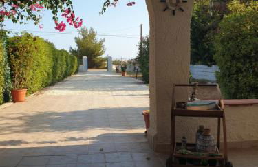 VENTO IN POPPA - Foto 7