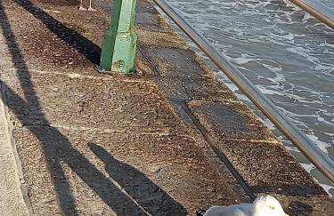 Tolpedn Cottage - Photo 5